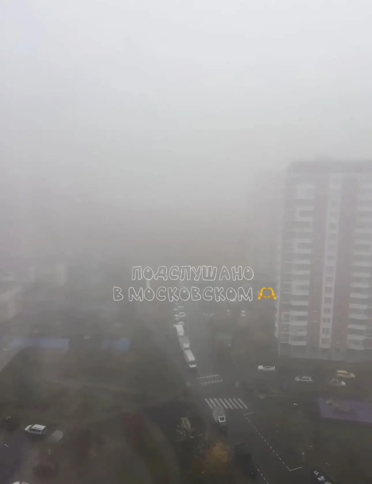 Всем доброе туманное утро! 💨