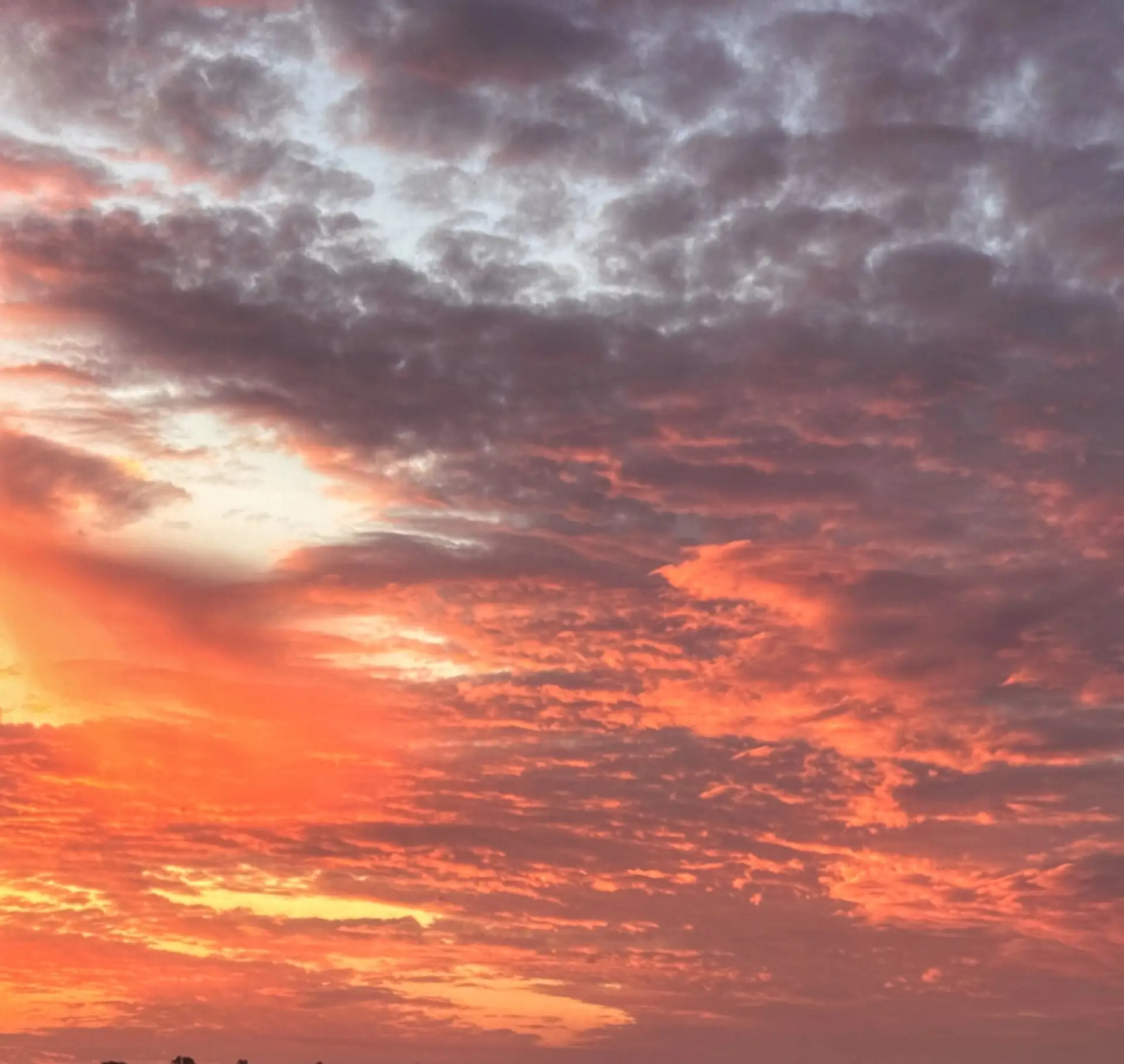 Хорошего вечера.  🌅