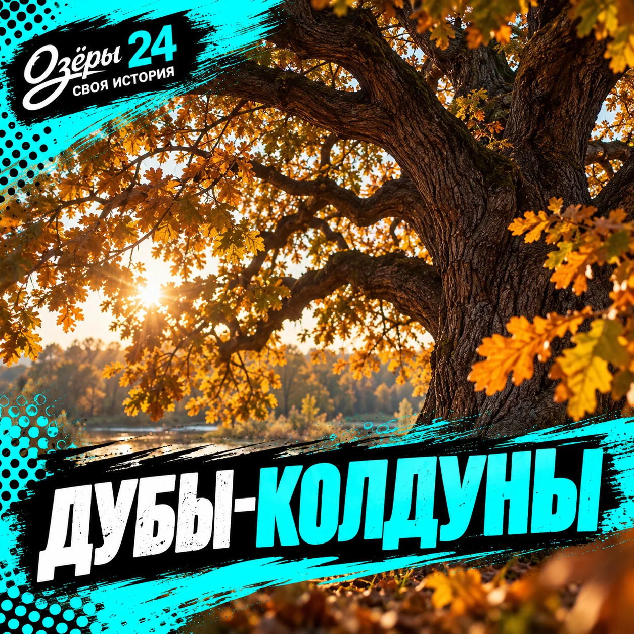 ДУБЫ-КОЛДУНЫ.