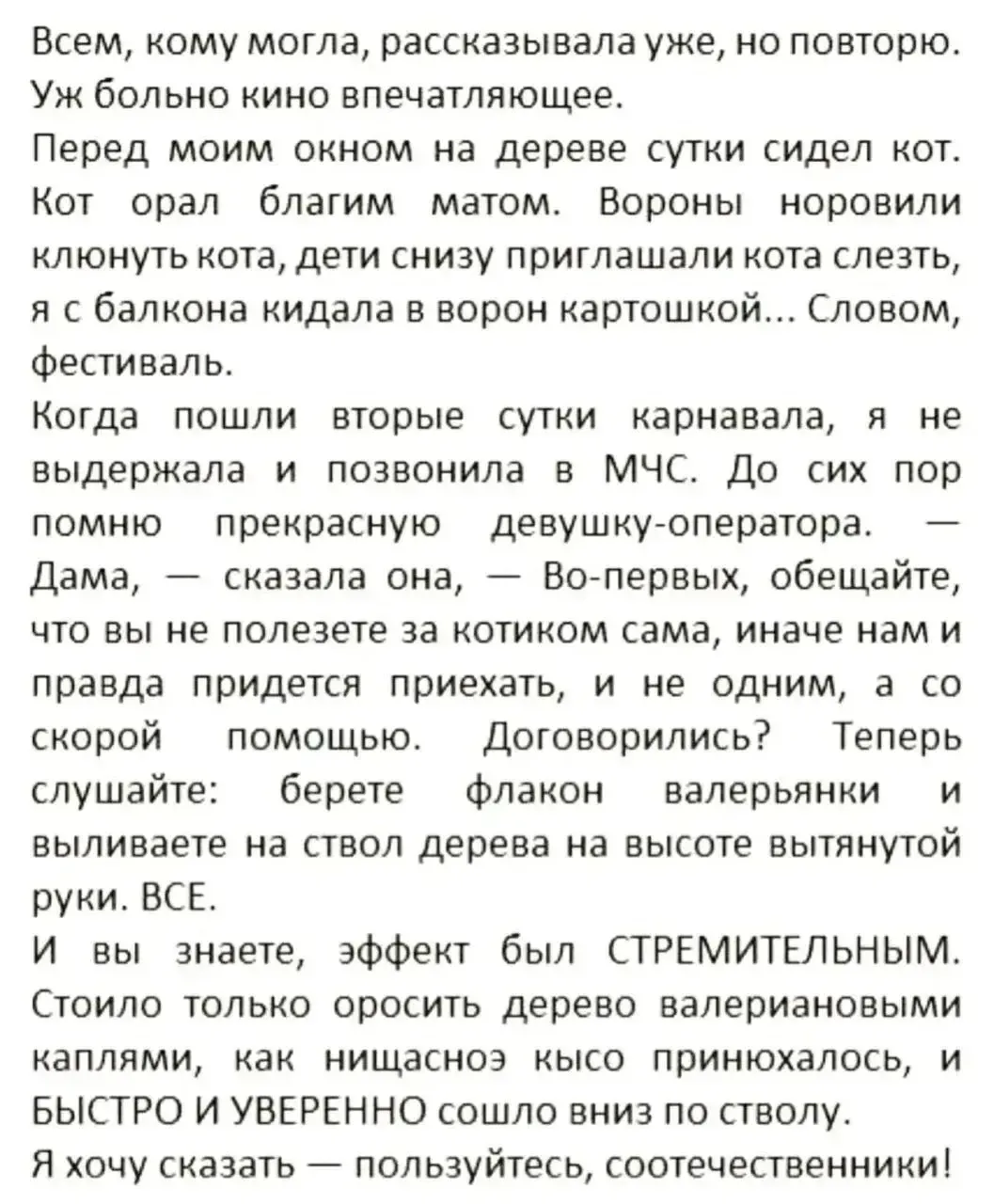 👉 Подписаться