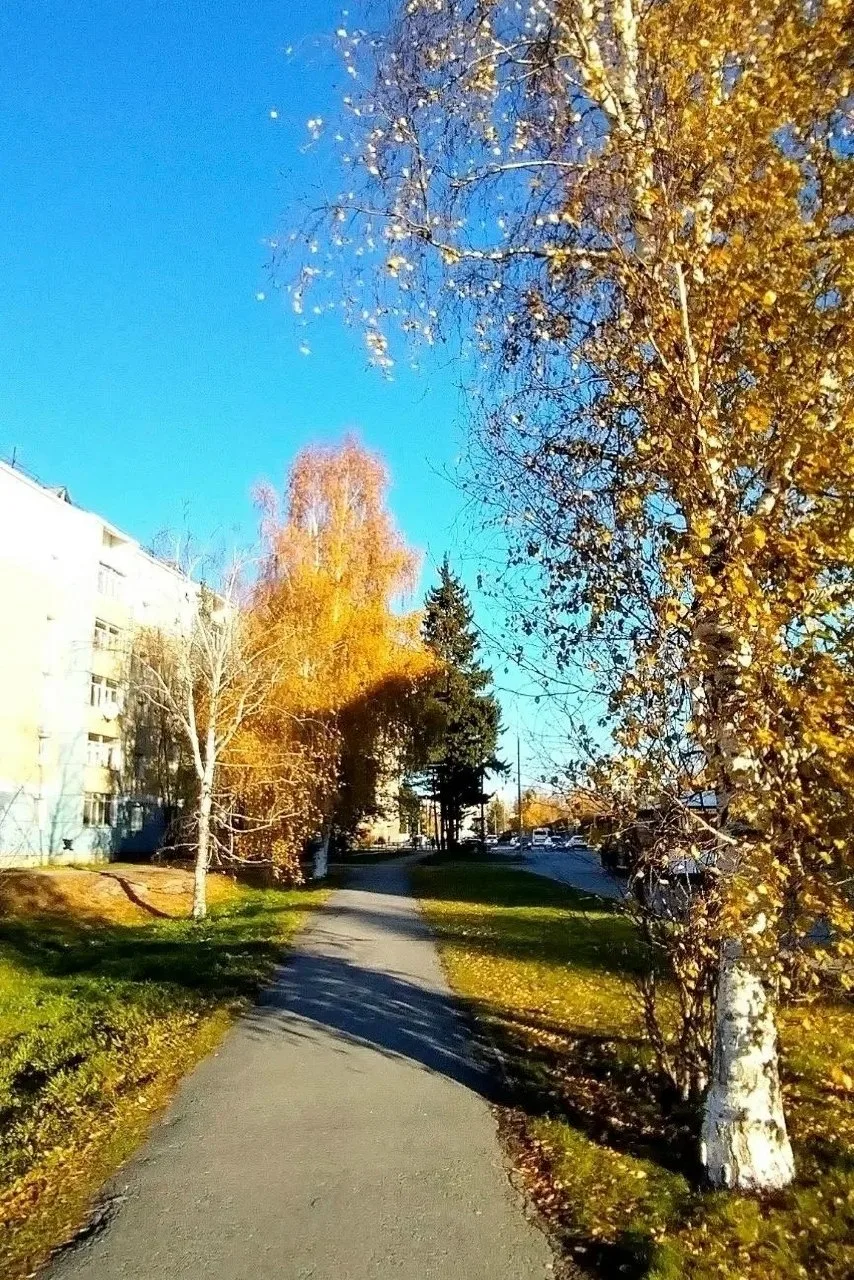 Осень🍂 в самом разгаре