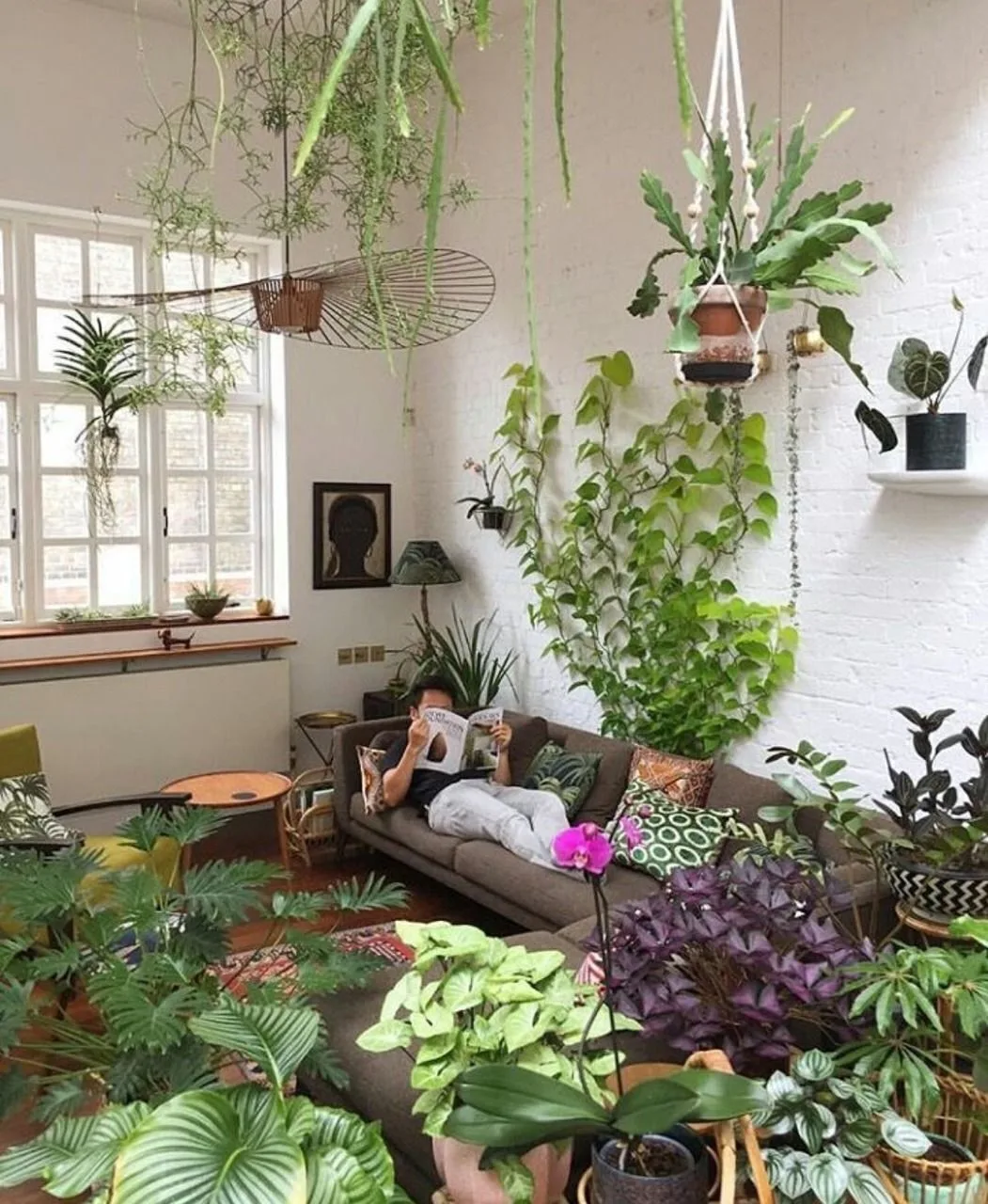 🌿 Фен-шуй и цветы в интерьере: ключевые рекомендации