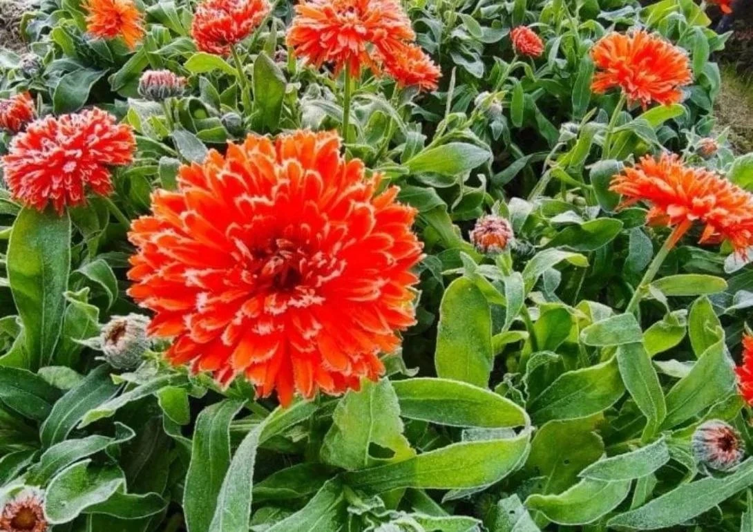 ☁️ Сегодня в Хабаровске с утра +2, днём до +16, пасмурно.