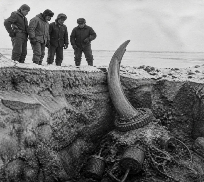 Запрещённая находка: Тайна якутской вечной мерзлоты 1979 года