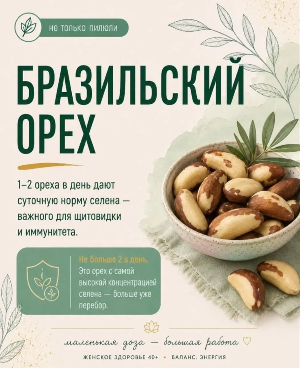 🇧🇷 ПРИВЕТ ИЗ БРАЗИЛИИ!