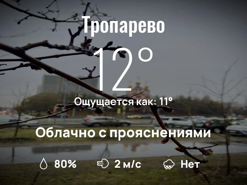 Что с погодой в Тропарево?