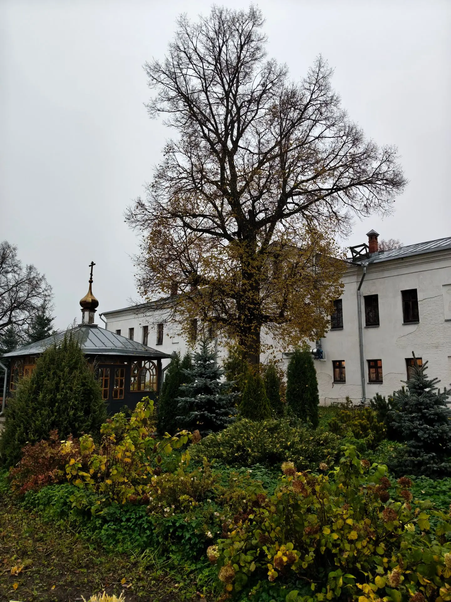 Доброе утро и благословенного дня.