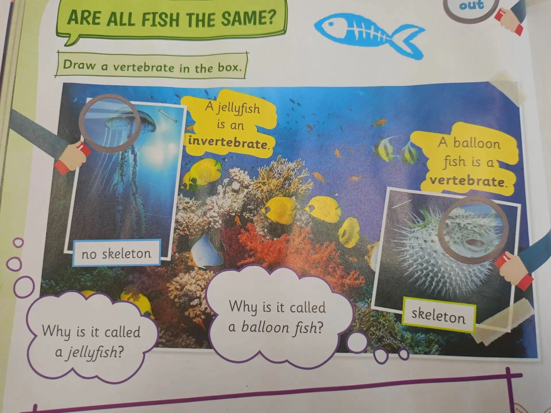 🌊 ПОГРУЖАЕМСЯ В МИР ОКЕАНА ... НО НА АНГЛИЙСКОМ🐠