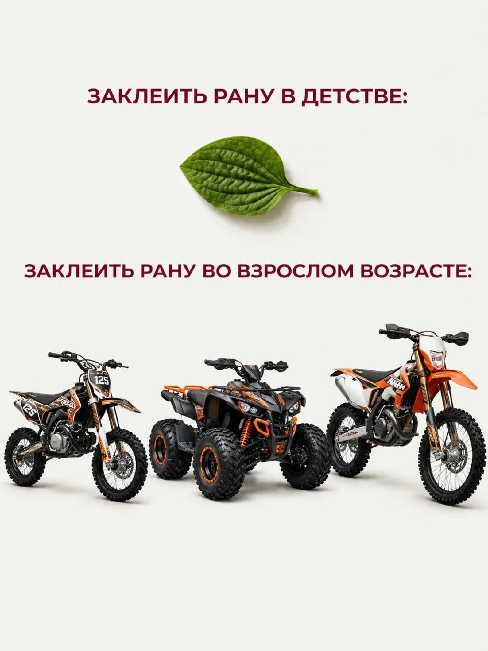 B детстве мы верили, что подорожник лучшее