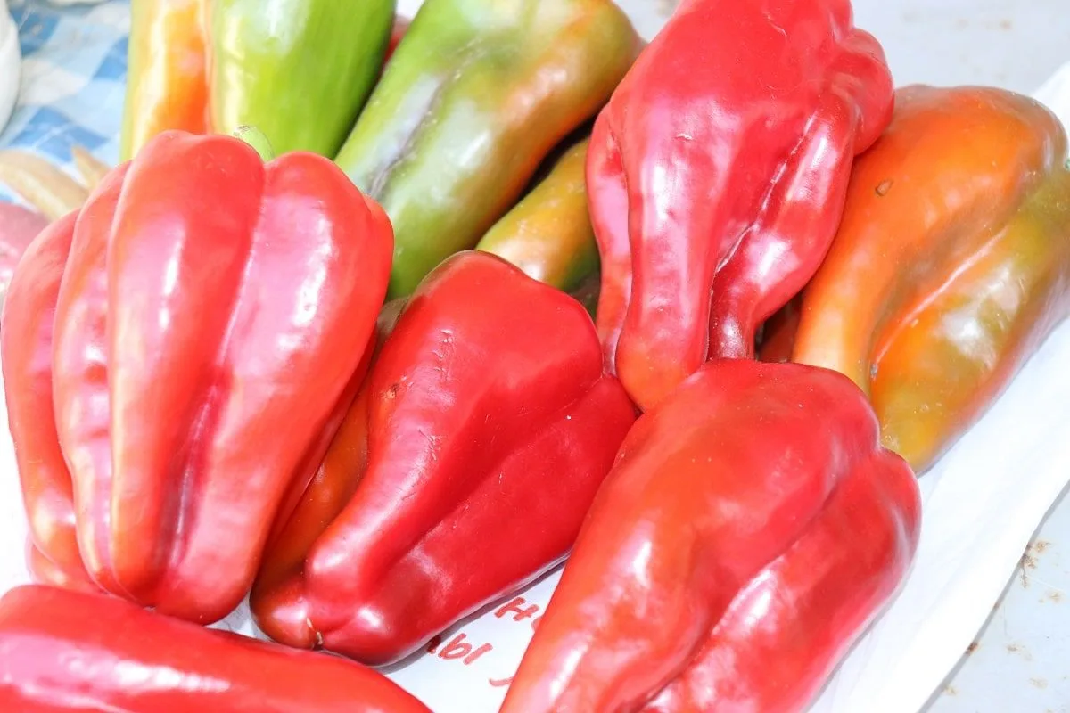 🍅 В Дубовском районе продолжается уборка овощей и бахчевых культур