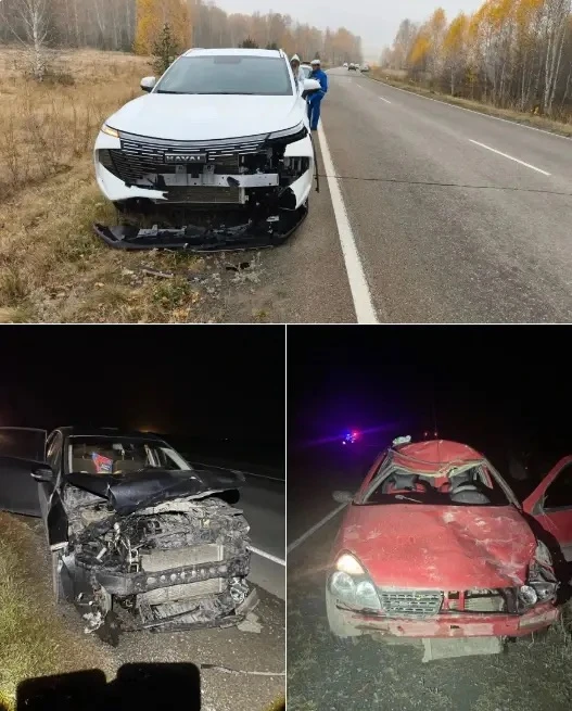 За неделю в Башкортостане сбили пять диких животных.