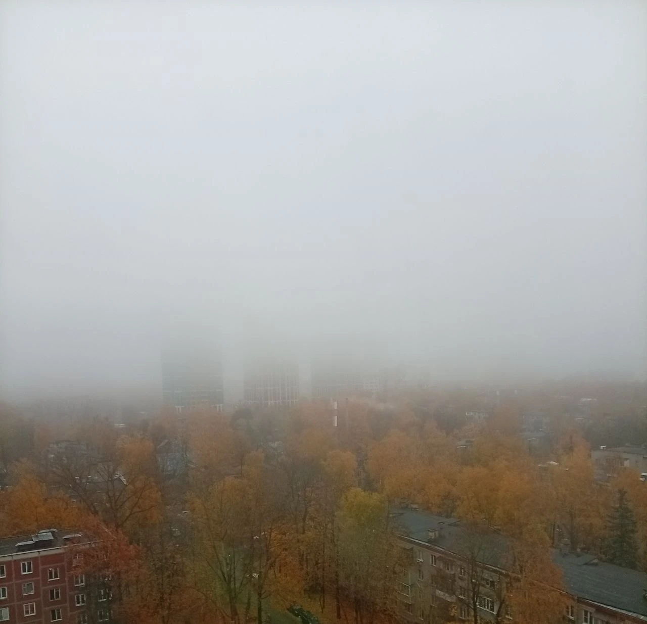 Доброе утро, соседи! ✨