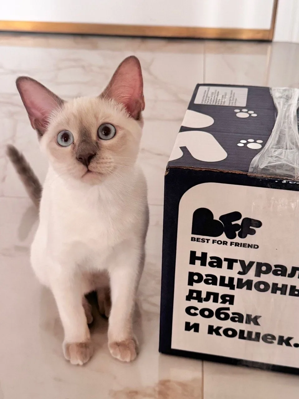 Спасибо, что каждый день делитесь с нами такими картинками 🥰