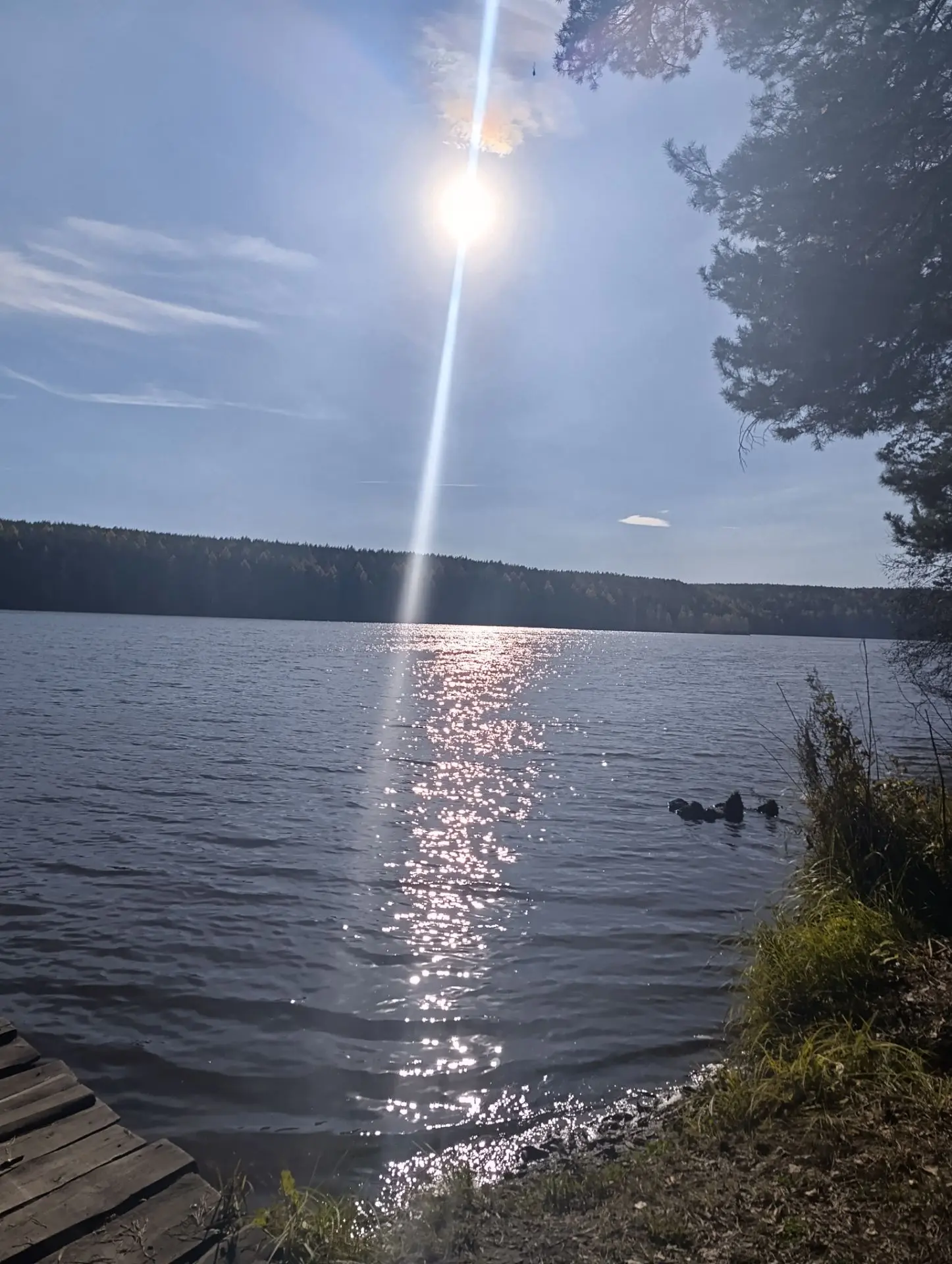 Ещё один прекрасный день☀