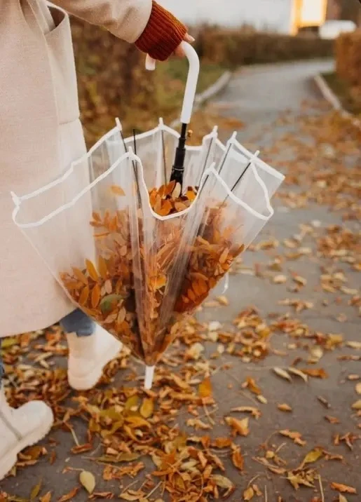 🍁Куда сходить в Москве 10 и 11 октября?🍁