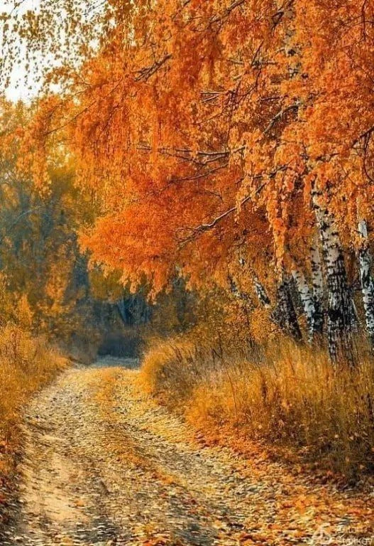 Серости на белом свете нет,