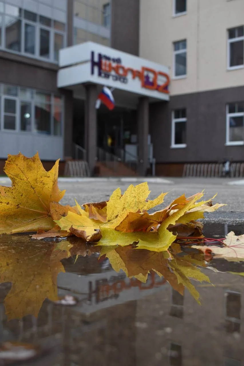 🍁 ЛОВИМ ЗОЛОТУЮ ОСЕНЬ🍁