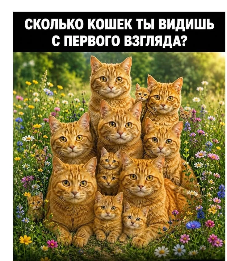 https://max.ru/se13457116_biz
