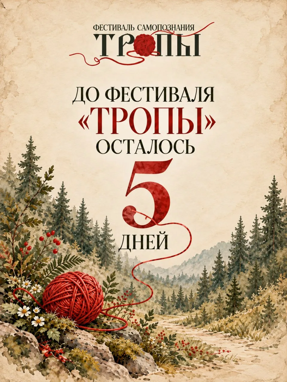 🧶5 дней