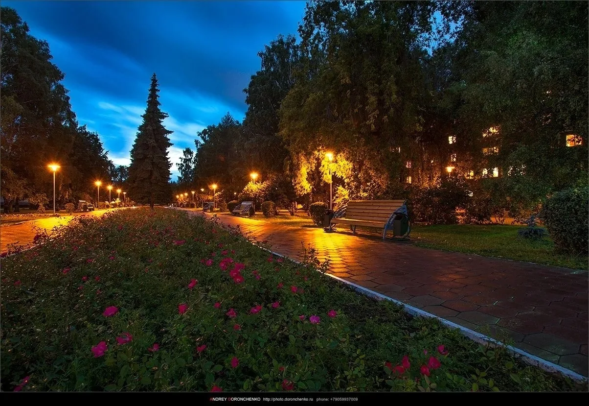 Приятных снов ❤️