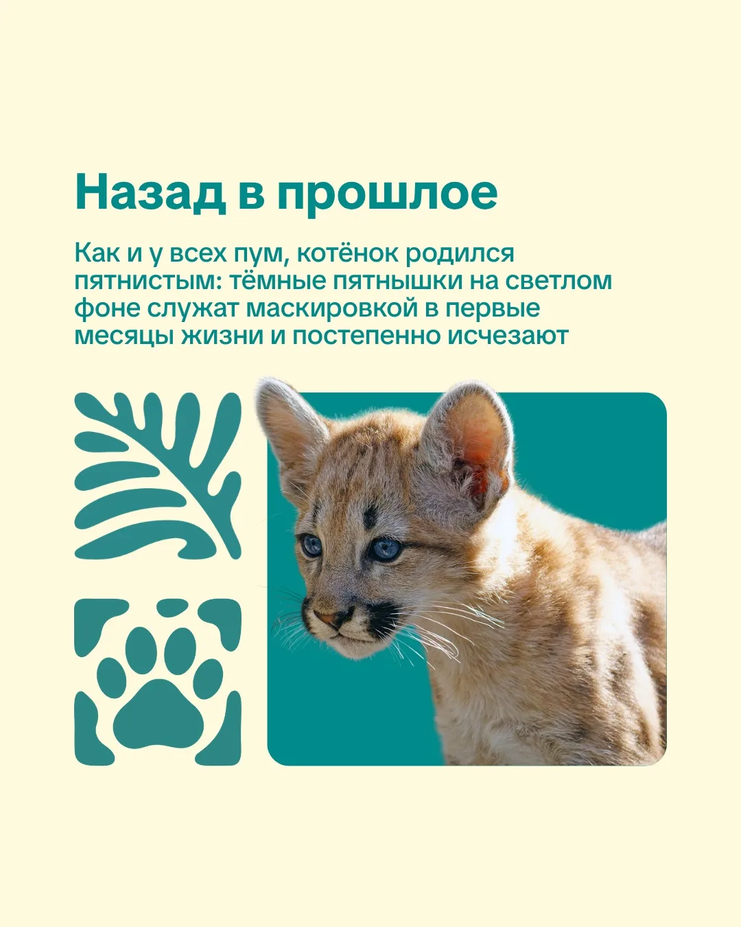 Новосибирский зоопарк. День в истории.