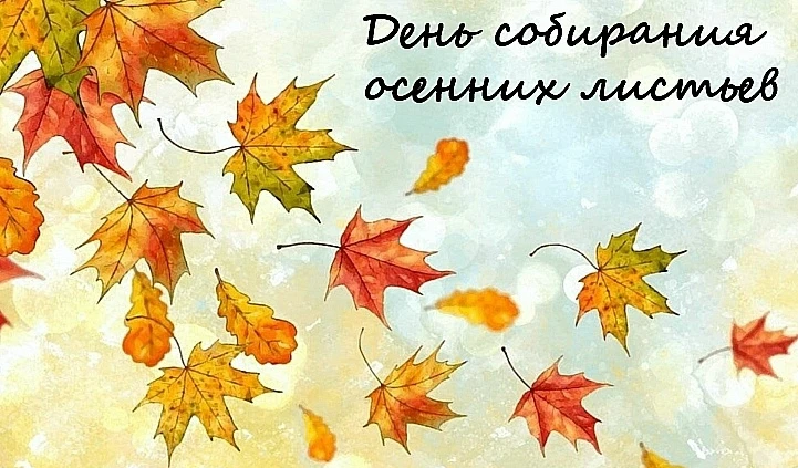 🍁15 октября отмечается День собирания осенних листьев!
