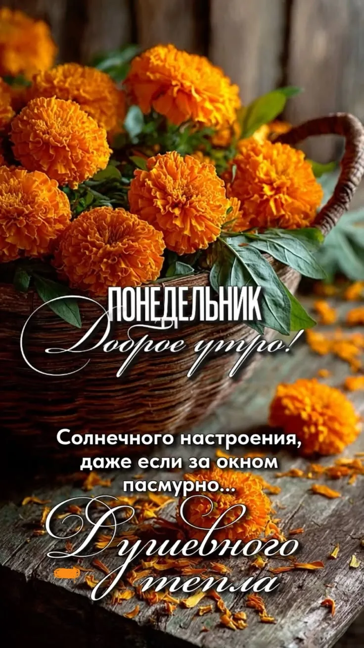 🧡🧡🧡