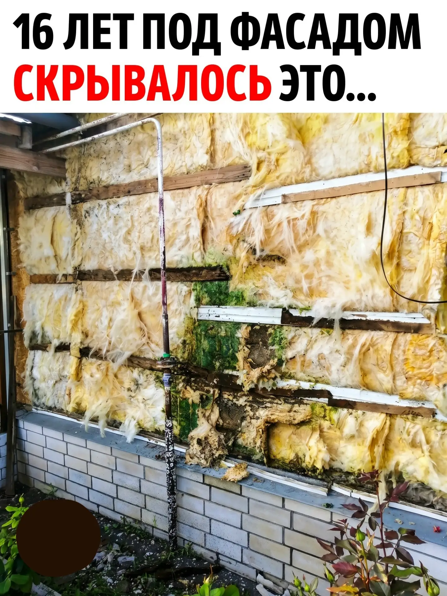 Всем привет! После 16 лет решили обновить фасад и, когда сняли старую обшивку, обнаружи...