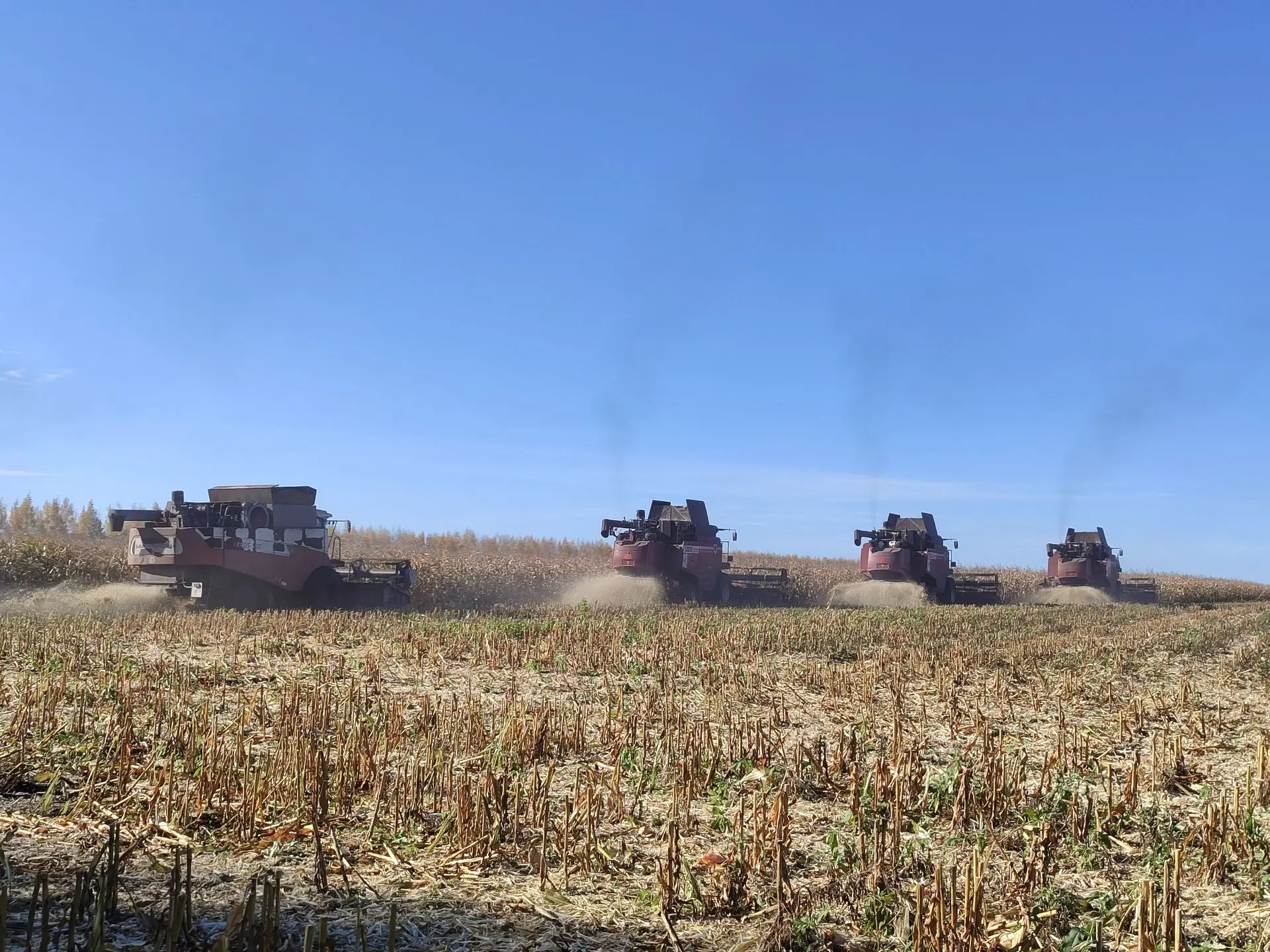 🌾В Рузаевском районе уборочная кампания приближается к завершению. Согласно оперативно...