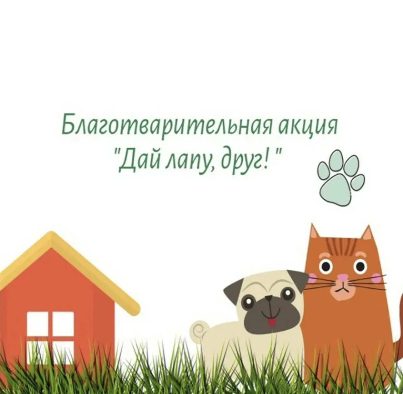 В нашем детском саду успешно завершилась благотворительная акция « Дай лапу, друг» по с...