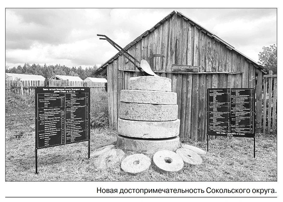 #вологодская #проекты