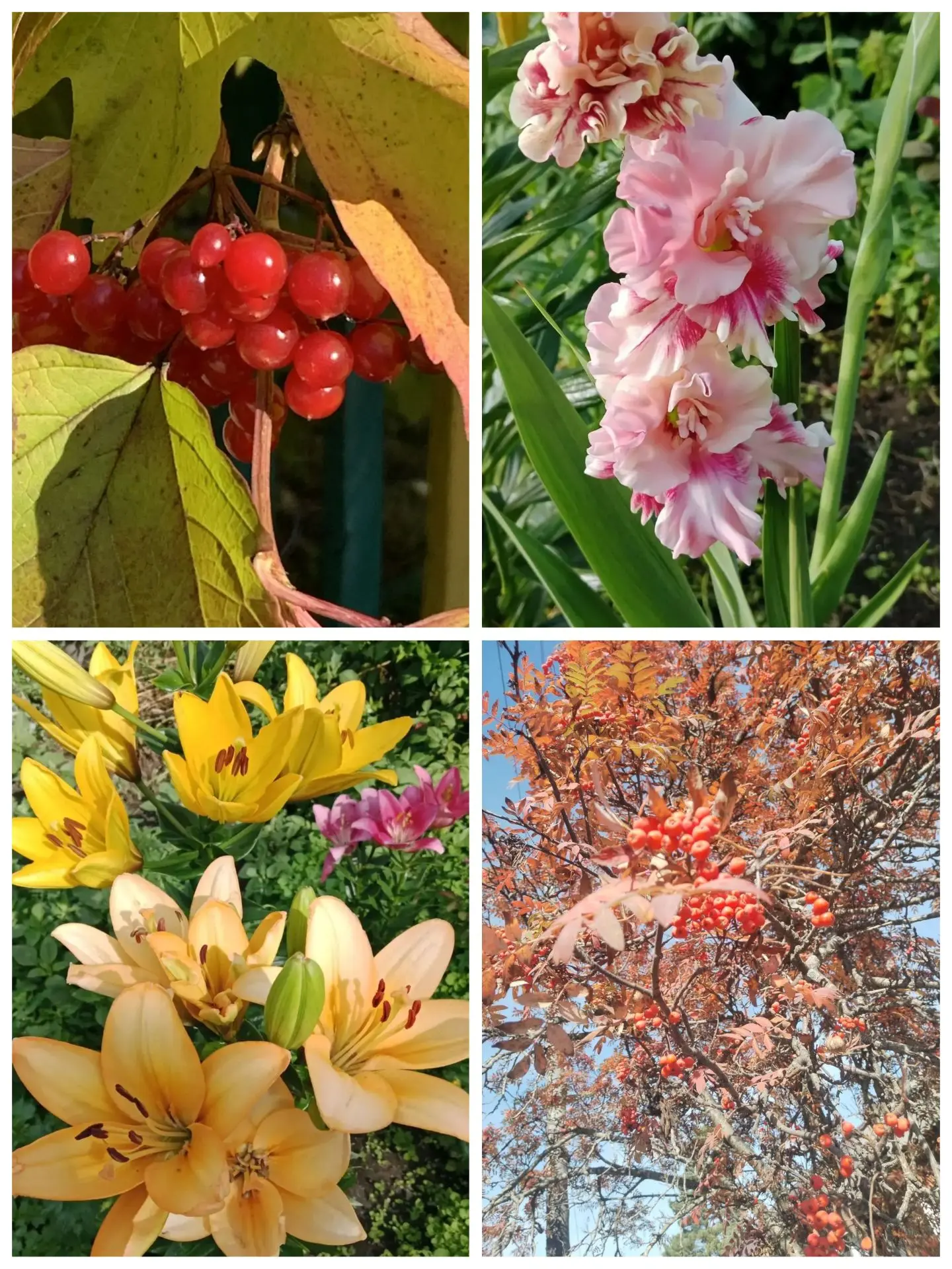 Фото