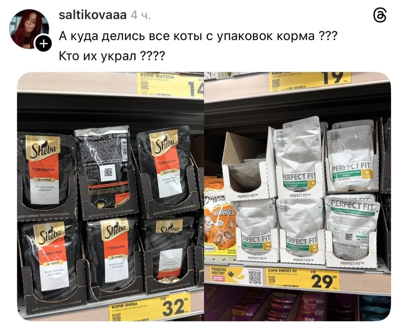 Главный скандал в индустрии дизайна — котики начали пропадать с упаковок корма для них же.