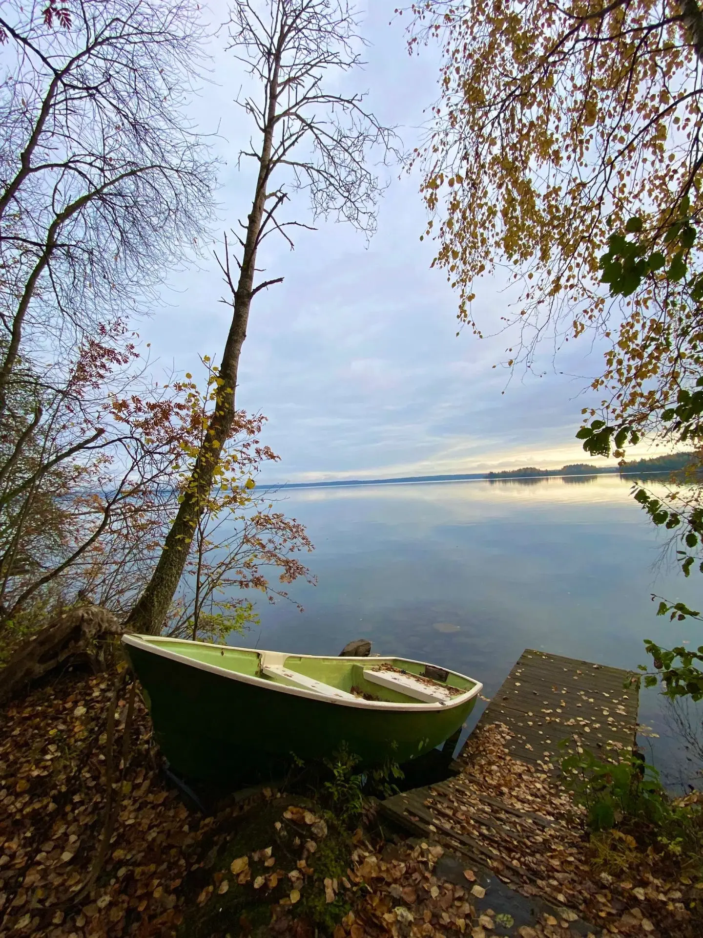 Осень в Карелии 🍂