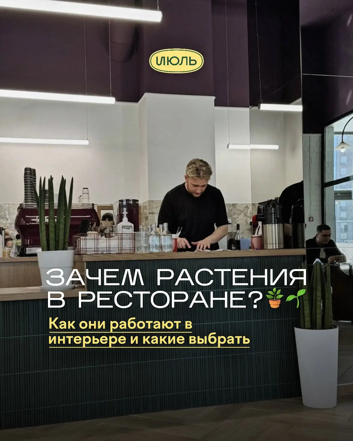 Зачем нужны растения в ресторане и кафе? Рассказываем в карточках 🪴