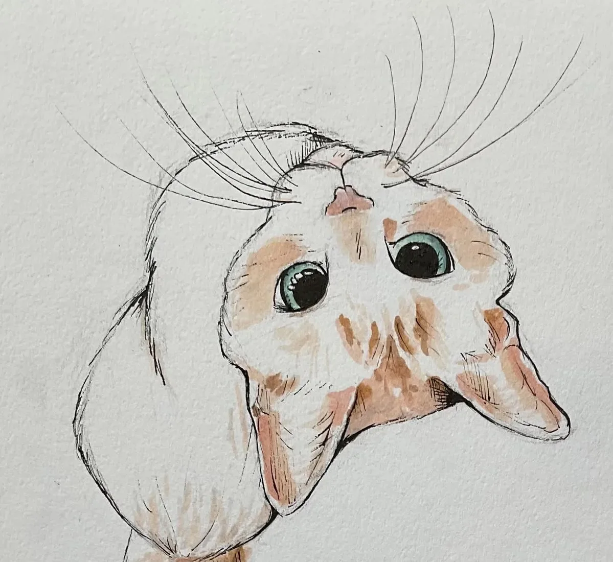 Рисуем кота