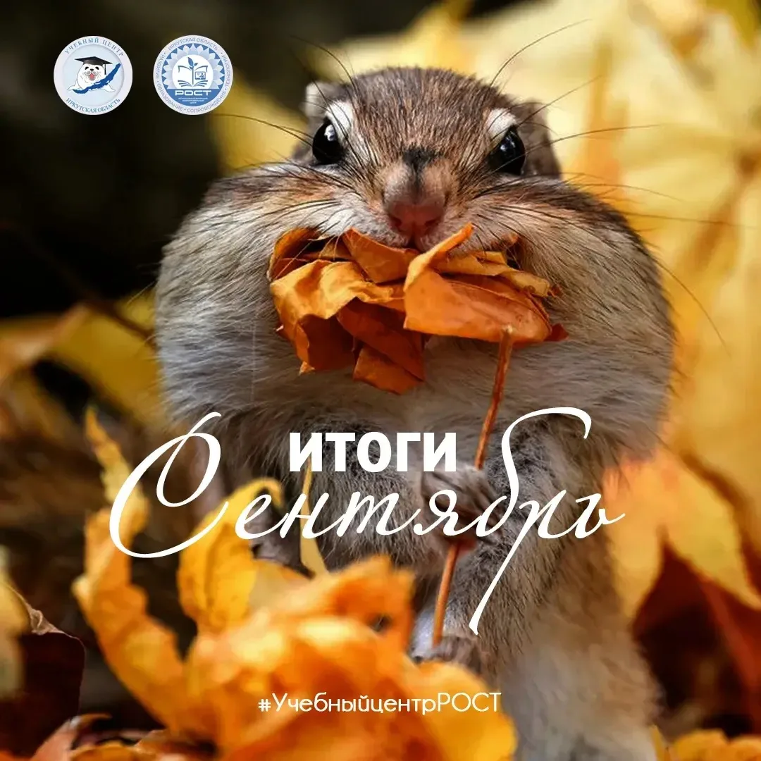 ИТОГИ МЕСЯЦА