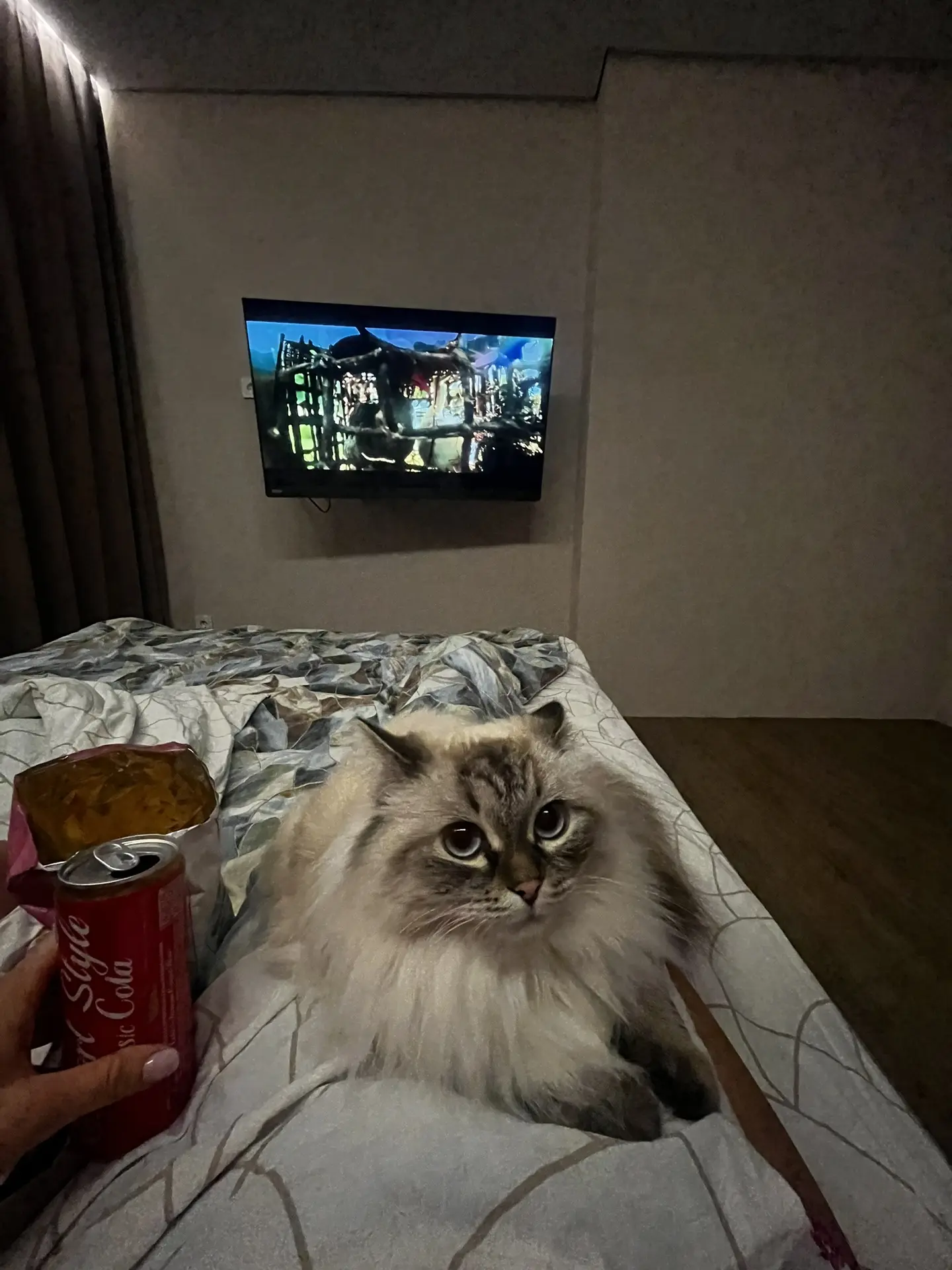 И буся тут,как тут 😂😽