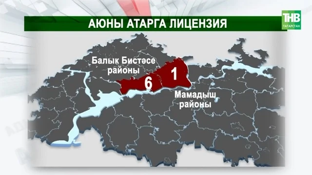 😱🐻Мамадышта беренче аюны атканнар: республикада ерткычлар санын ничек көйлиләр? | Ады...