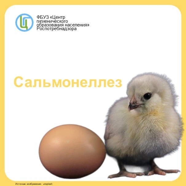 🥚 9 октября – Всемирный день яйца! Полезно, но требует осторожности.