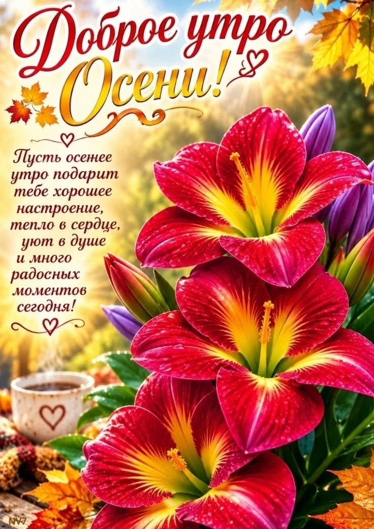 ☕️ #доброе_утро