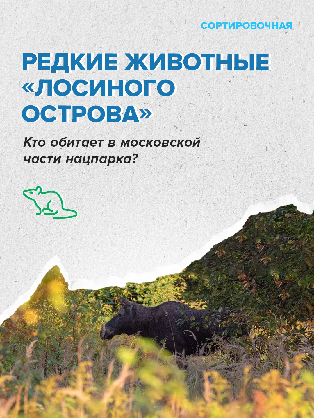 📍На территории московской части «Лосиного Острова» обитает 2635 видов животных