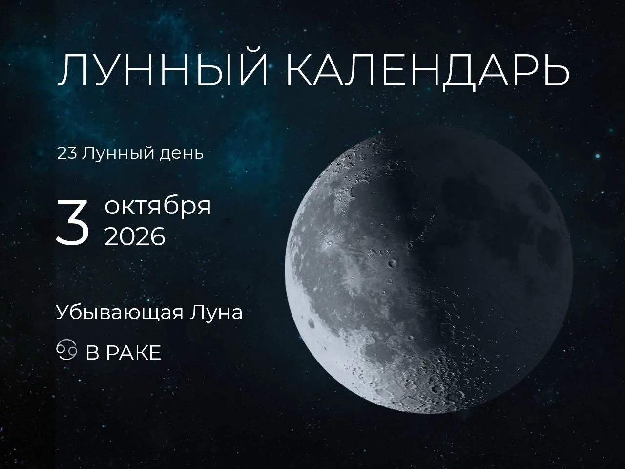 📆 Рекомендации дня:
