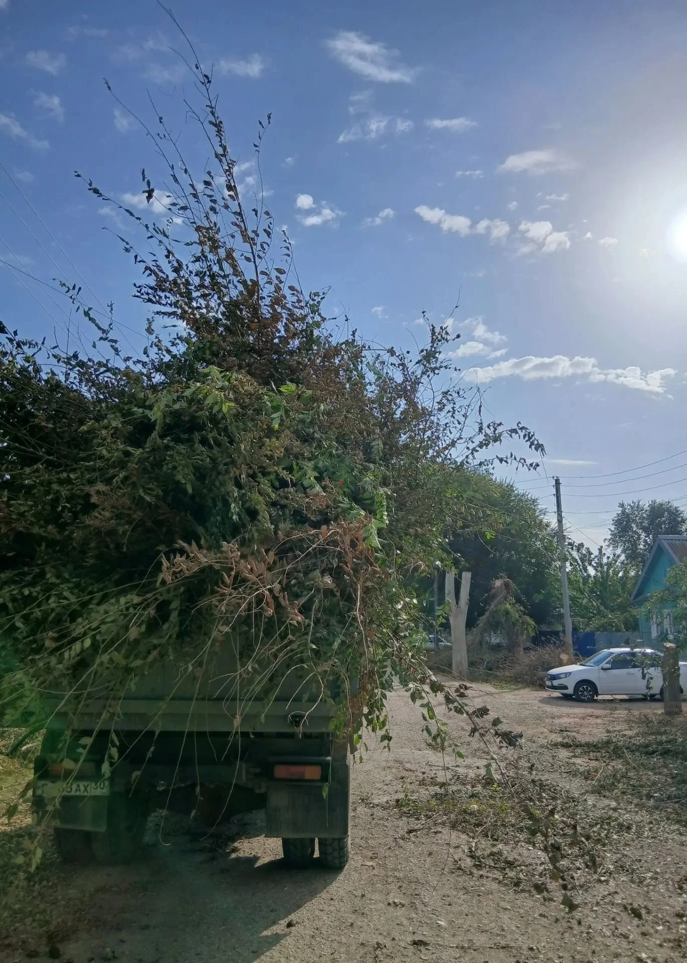 🚛 Осуществляем вывоз опиленных веток!