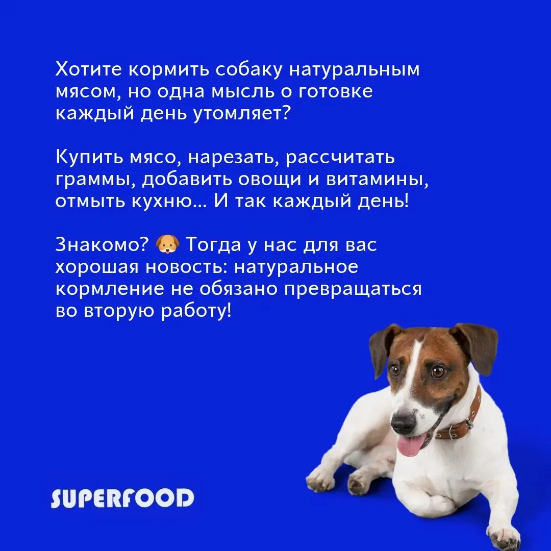 Ужин за 10 секунд: как мы отменили «кухонное рабство» для собаководов