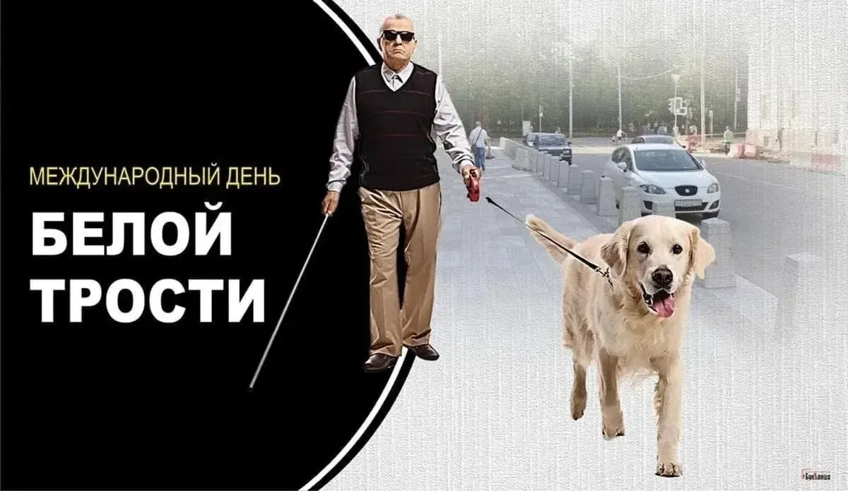 ❗❗Ежегодно 15 октября мир отмечает важную дату, призванную привлечь внимание к проблема...