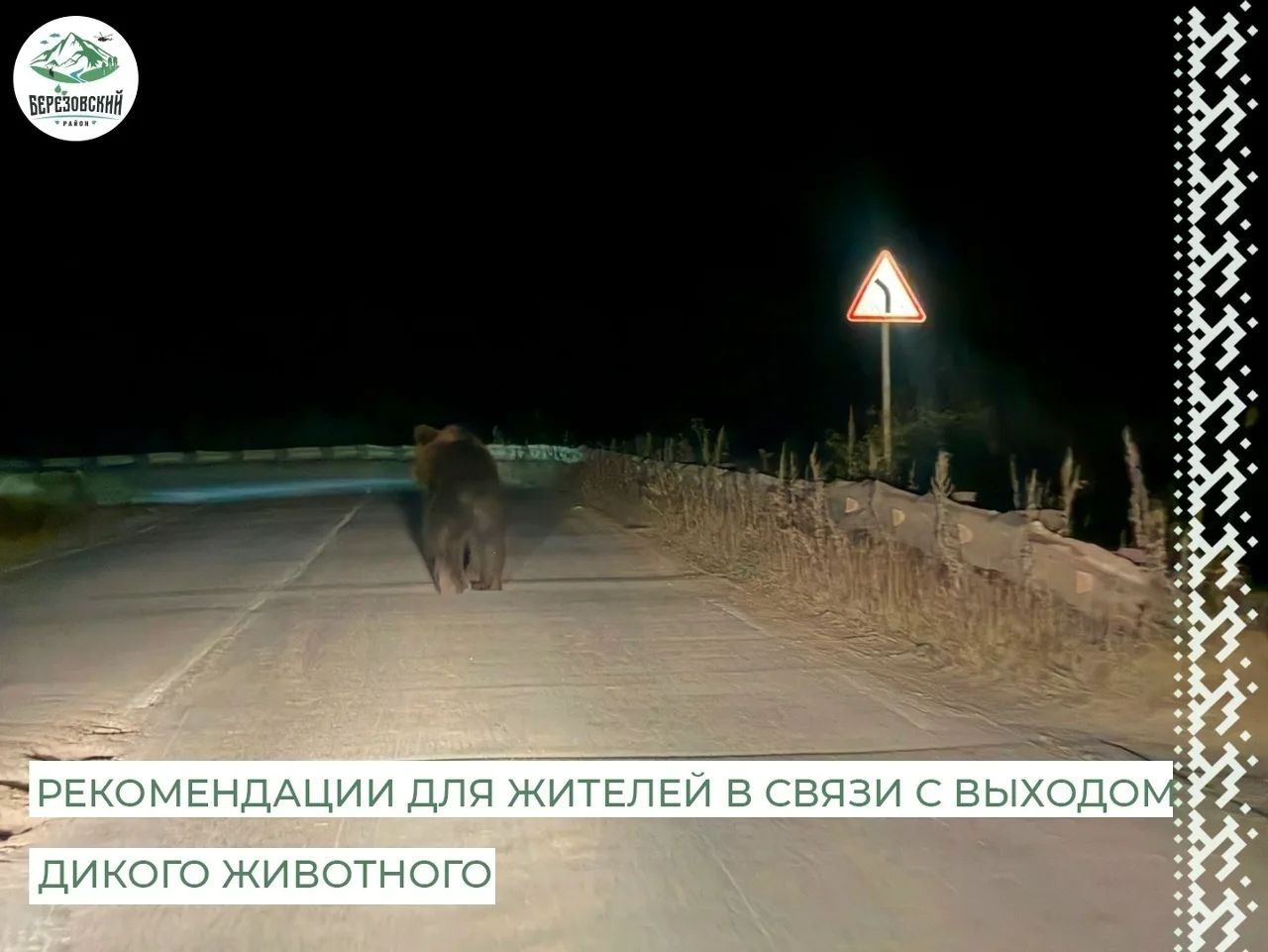 🐻 В поселке Берёзово заметили медведя