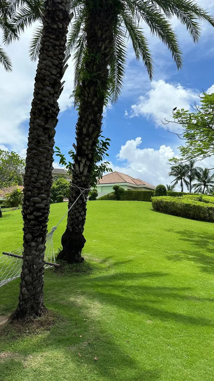🌿 Yalong Bay Earthly Paradise Birds Nest Resort 5*