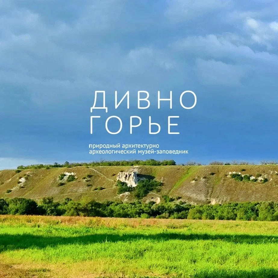 В связи с проведением Контрольно-счетной палатой Воронежской