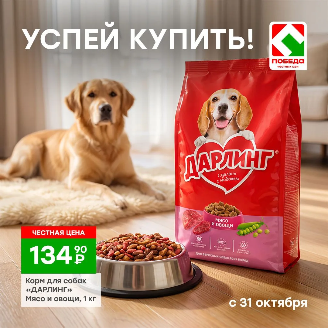 Пока ты выбираешь покупки, кто-то дома ждет свою вкусняшку 🐾